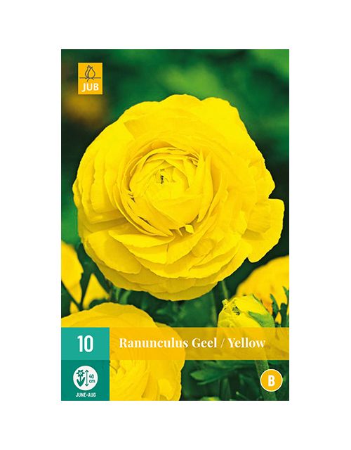JUB Ranunculus Geel 1 stuk