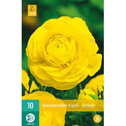 JUB Ranunculus Geel 1 stuk
