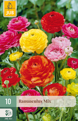 JUB Ranunculus mix 10st