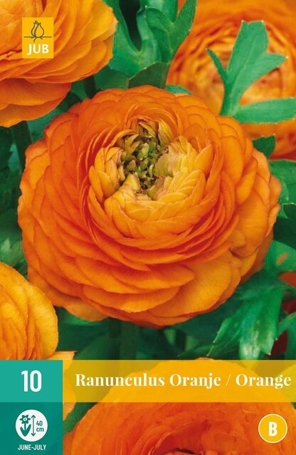 JUB Ranunculus oranje 10st
