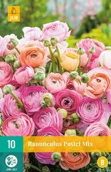 JUB Ranunculus pastel mix 10st