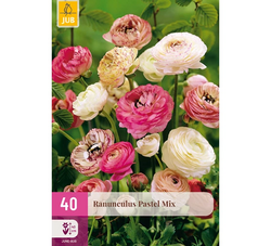 JUB Ranunculus pastel mix 40st