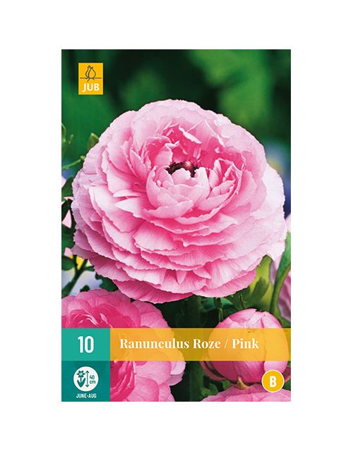 JUB Ranunculus Roze 1 stuk