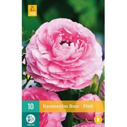 JUB Ranunculus Roze 1 stuk