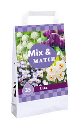 JUB Ts mix & match lilac 35st