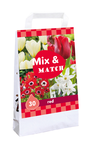 JUB Ts mix & match red 30st