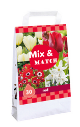 JUB Ts mix & match red 30st