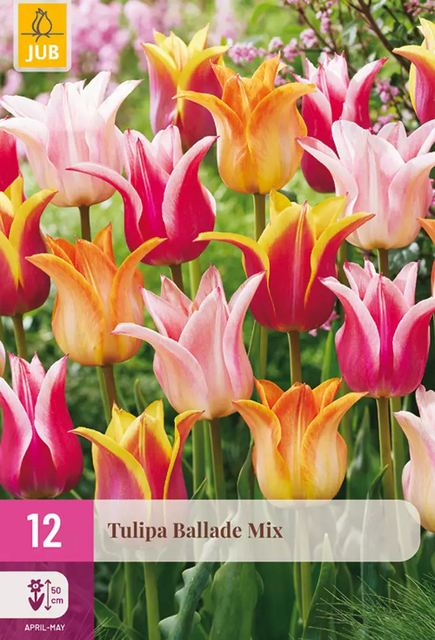 JUB Tulipa ballade mix 12st
