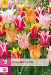 JUB Tulipa ballade mix 12st