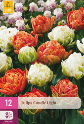 JUB Tulipa candle light 12st