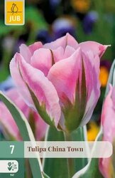 JUB Tulipa china town 7st