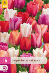 JUB Tulipa glowing with pride 15st