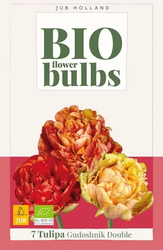 JUB Tulipa gudoshnik double bio 7st