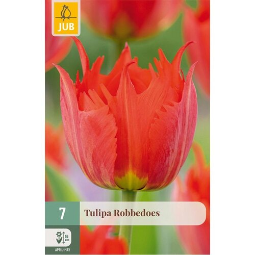 JUB Tulipa robbedoes 7st