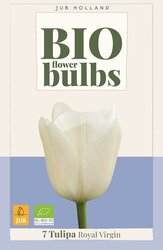 JUB Tulipa royal virgin bio 7st