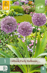 JUB X 1 Allium Party Balloons