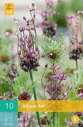 JUB X 10 Allium Art