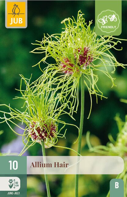 JUB X 10 Allium Hair