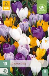 JUB X 10 Crocus grootbloemig Mix