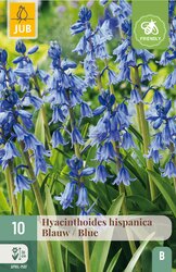 JUB X 10 Hyacinthoides hisp. Blauw