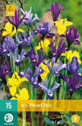 JUB X 10 Iris Dwarf Mix