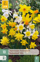 JUB X 10 Narcissus Botanisch Mix