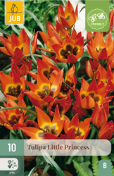 JUB X 10 Tulipa Little Princess
