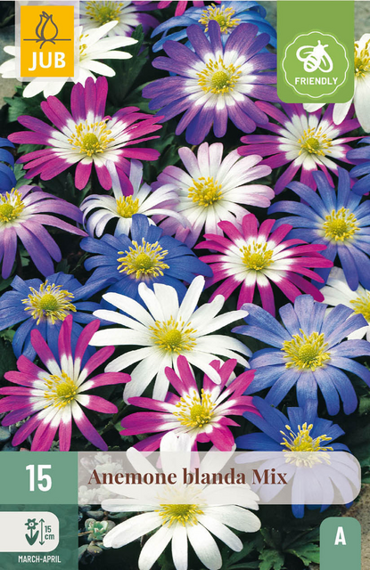 JUB X 15 Anemone blanda Mix