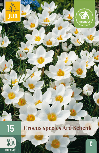 JUB X 15 Crocus Ard Schenk