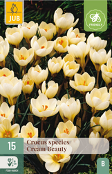 JUB X 15 Crocus Cream Beauty