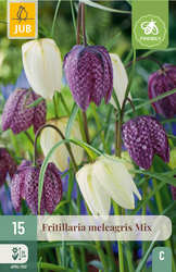 JUB X 15 Fritillaria meleagris Mix