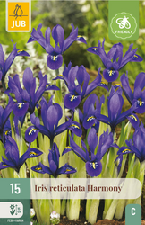 JUB X 15 Iris Harmony