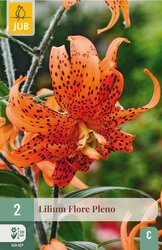 JUB X 2 Lilium double Flore Pleno - afbeelding 1