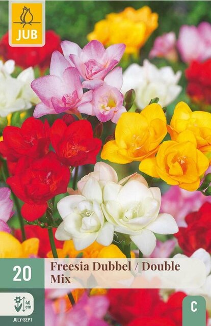 JUB X 20 Freesia Dubbel Mix