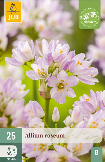 JUB X 25 Allium roseum
