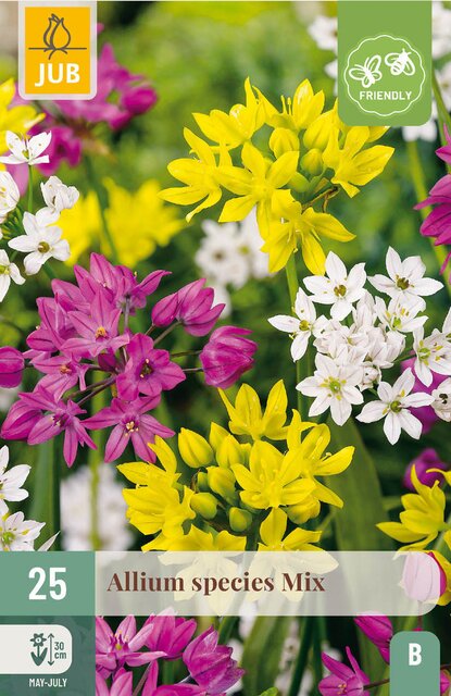 JUB X 25 Allium species Mix