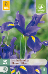 JUB X 25 Iris hollandica Blauw