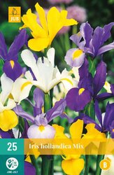JUB X 25 Iris hollandica Mix