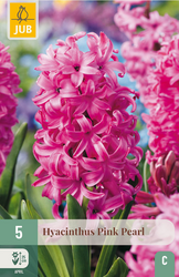 JUB X 5 Hyacinthus Pink Pearl