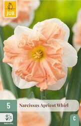 JUB X 5 Narcissus Apricot Whirl - afbeelding 1