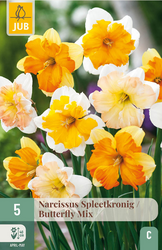 JUB X 5 Narcissus Butterfly Mix