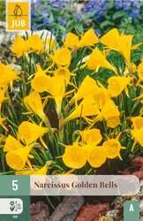 JUB X 5 Narcissus Golden Bells - afbeelding 2