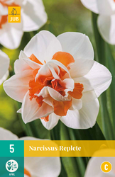 JUB X 5 Narcissus Replete
