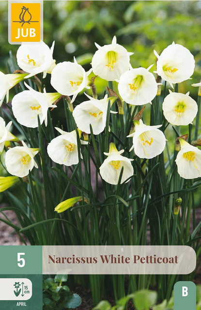 JUB X 5 Narcissus White Petticoat