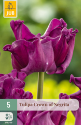 JUB X 5 Tulipa Crown of Negrita