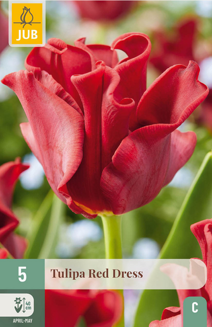 JUB X 5 Tulipa Red Dress