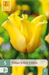 JUB X 5 Tulipa Yellow Crown - afbeelding 2