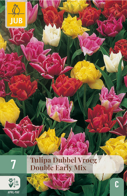 JUB X 7 Tulipa Dubbel Vroeg Mix