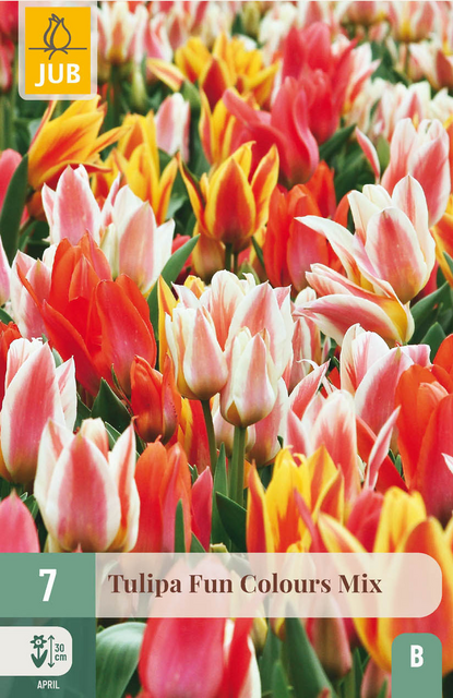 JUB X 7 Tulipa Fun Colours