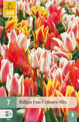 JUB X 7 Tulipa Fun Colours